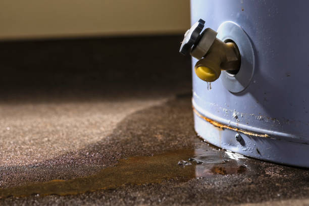 Trusted Pinehurst, MA Water damage restoration Experts