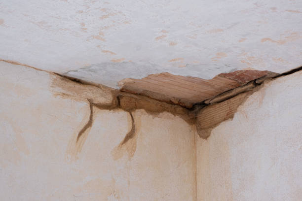 Best Commercial water damage restoration  in Pinehurst, MA