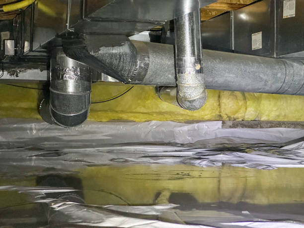 Best Water damage cleanup near me  in Pinehurst, MA