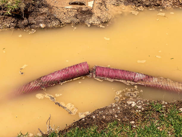 Best Water damage restoration near me  in Pinehurst, MA